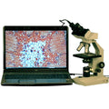 AmScope 2000X Vet High Power Binocular Microscope + 1.3MP USB Camera New