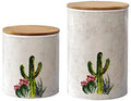2-PC Succulent Design Canister Set