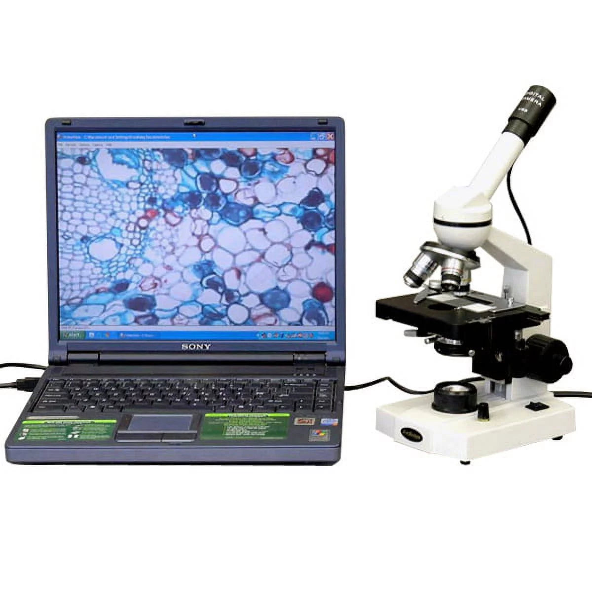 AmScope 40X-2500X Advanced Student Microscope with 3D Stage + USB Camera New