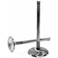 11565-1 Race Flo Head Diameter Exhaust Valve - 1.600 in.