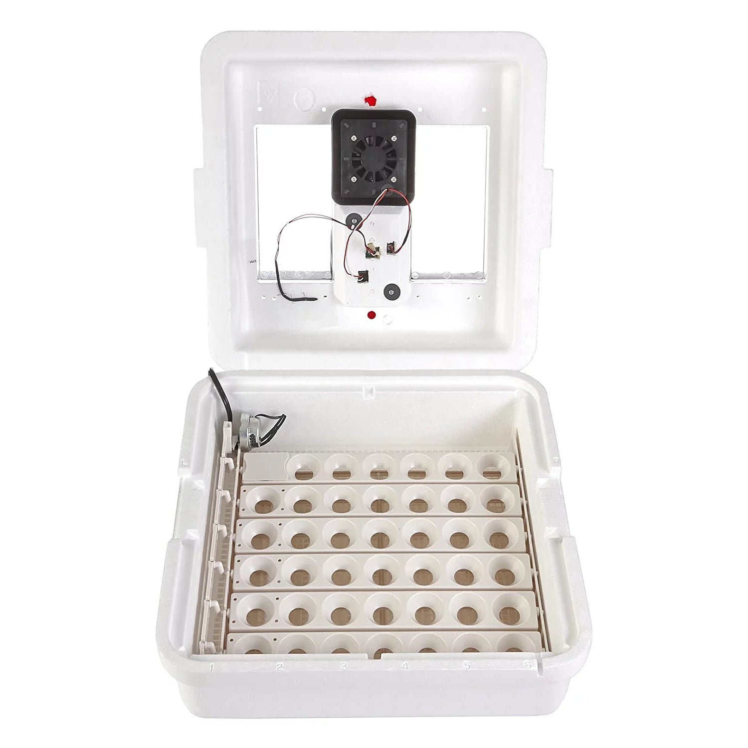 Miller Manufacturing 1213941 Deluxe Circulated Air Incubator with Egg Turner